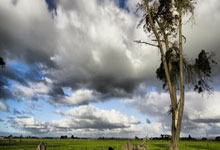 虎扑上的NBA历史得分榜都有哪些看点和细节？